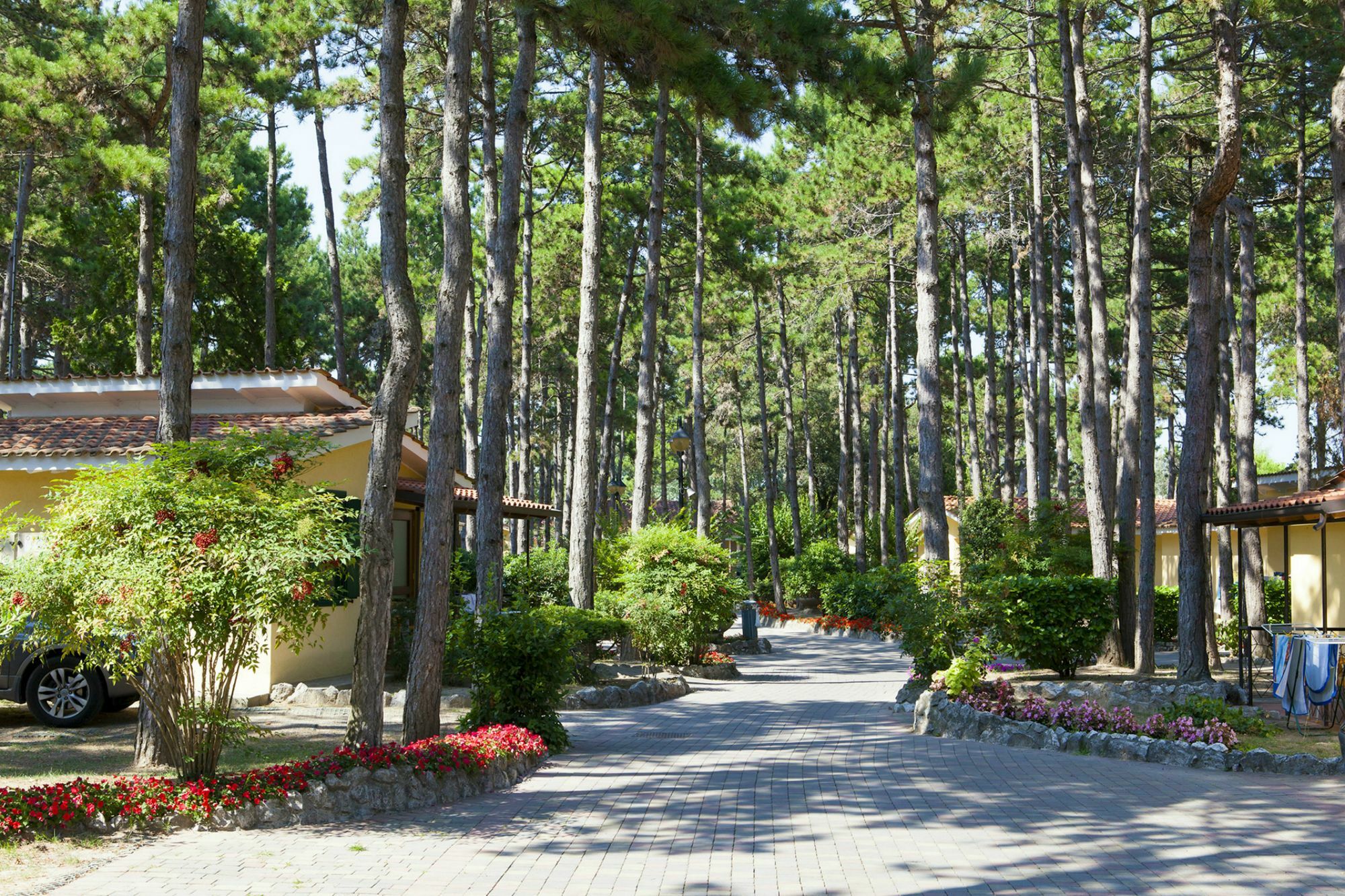 Resort Villaggio Turistico Internazionale